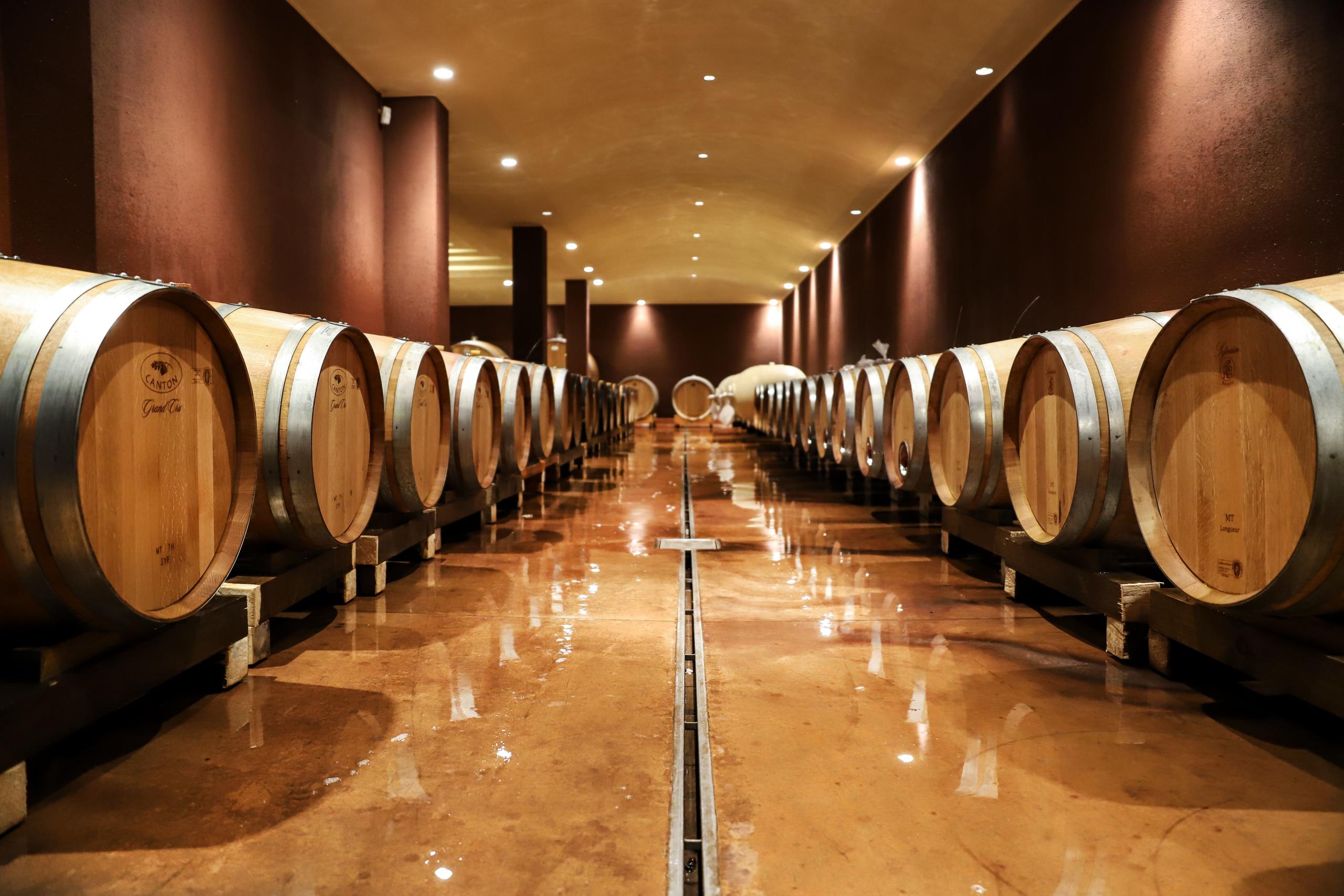 Bardolino: bodega y cata junto al Lago de Garda