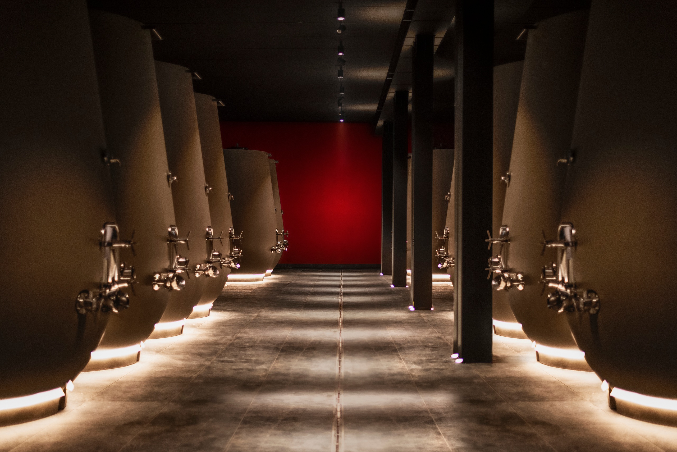 Verona: bodega y cata de vinos en Valpolicella