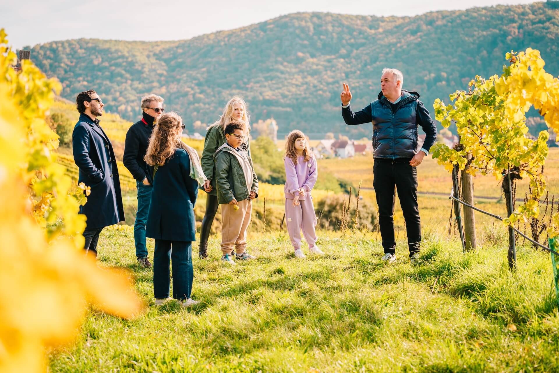 Valle de Wachau: excursión privada de vino desde Viena