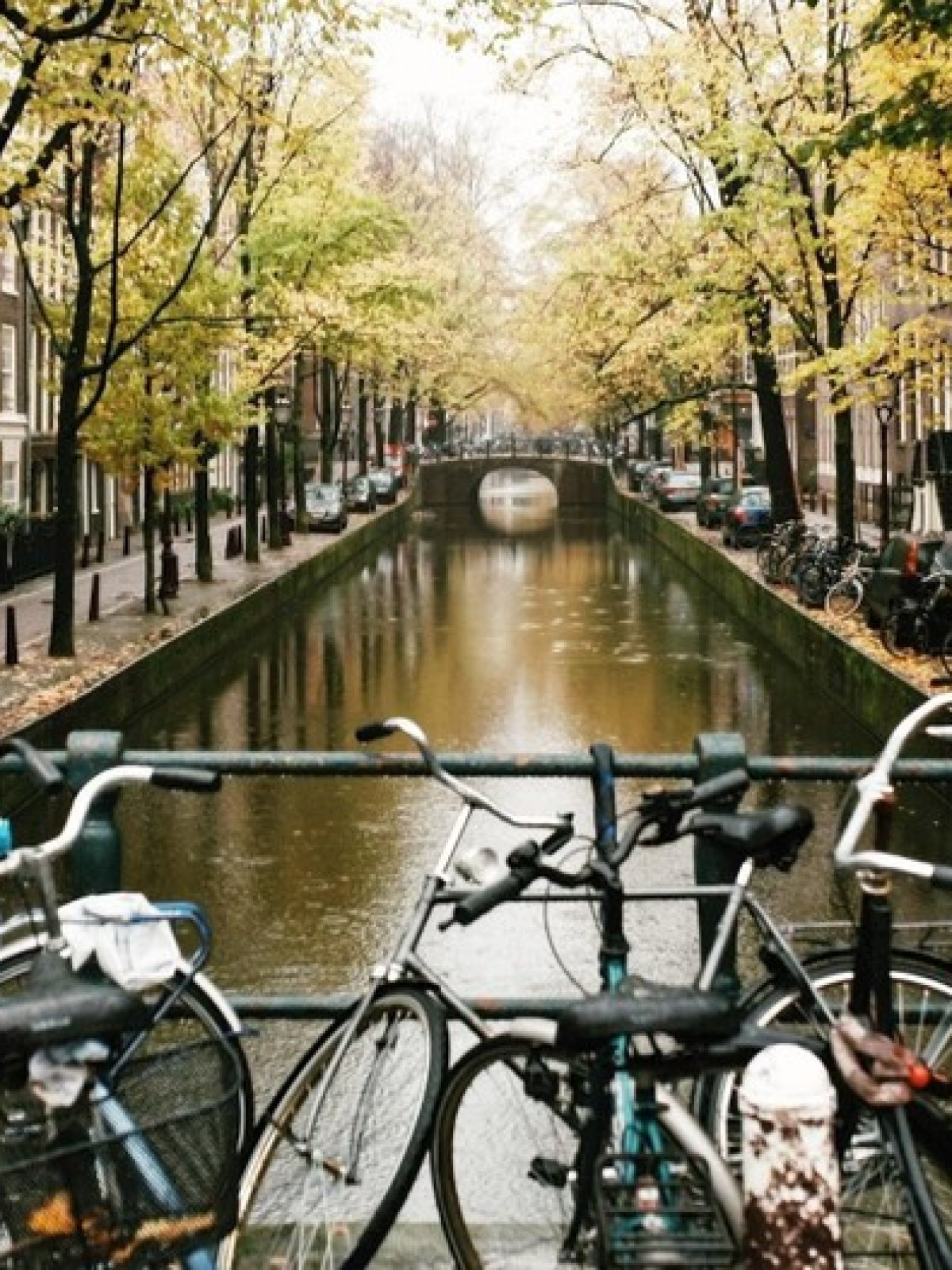 Bicycles parked on a bridge overlooking a canal lined with trees and buildings.