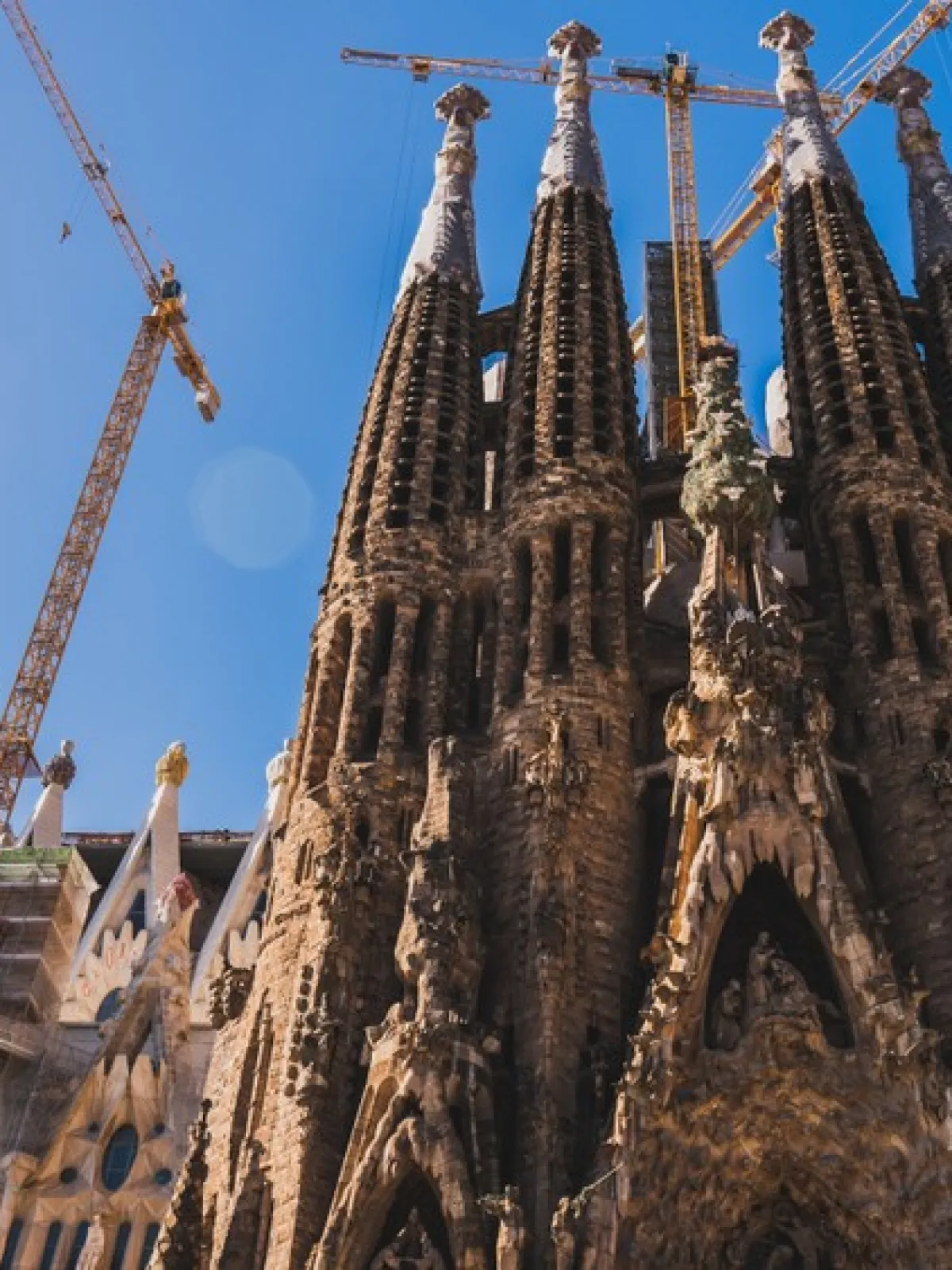 Gothic cathedral with tall spires under construction cranes against a clear blue sky.