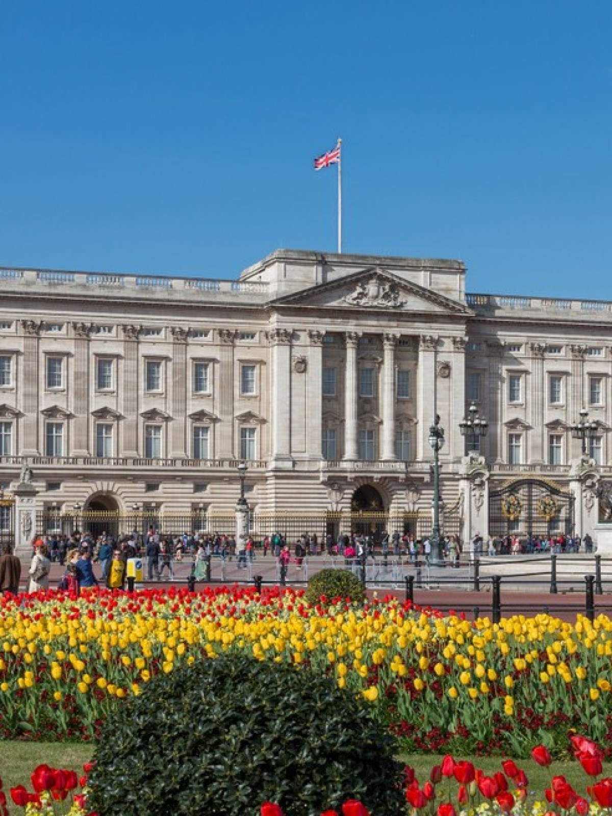 Buckingham Palace with colorful tulip garden in foreground under a clear blue sky.