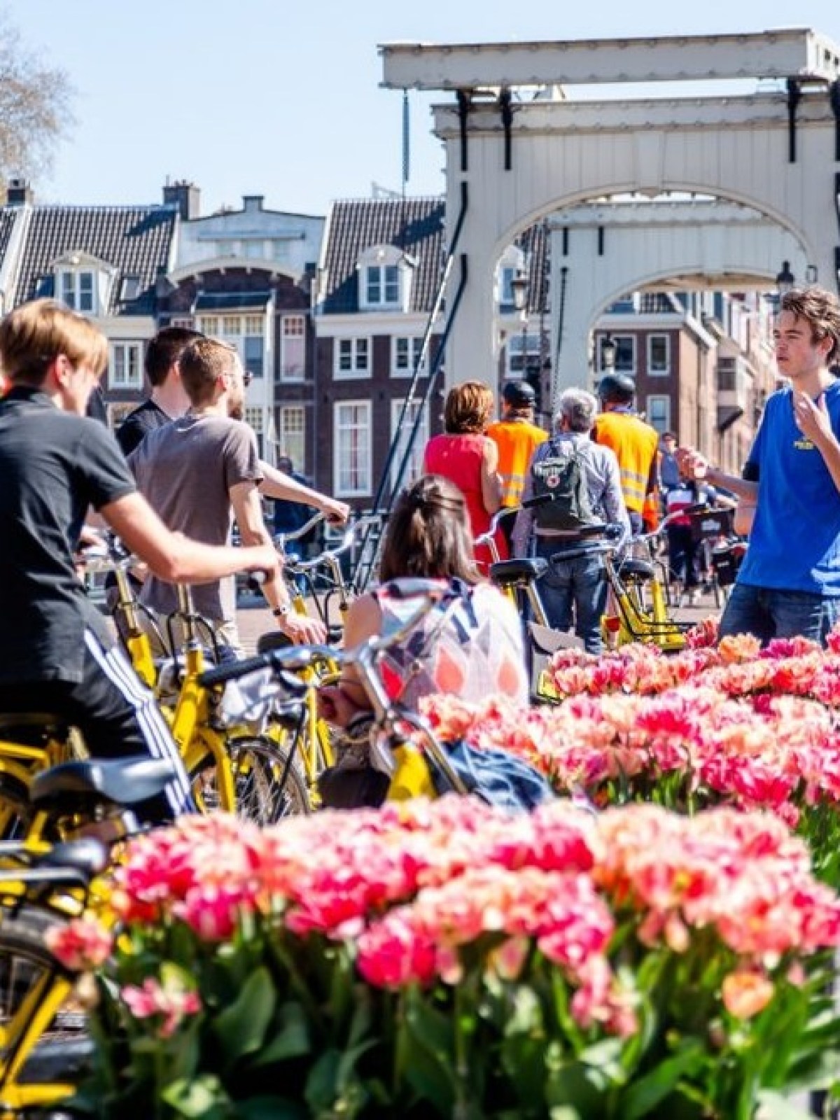 People with bicycles on a bridge decorated with pink flowers on a sunny day.