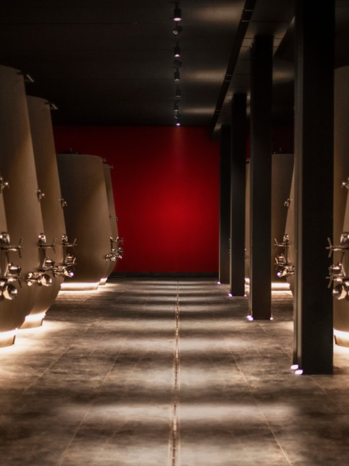 Dark cellar with large wine vats on both sides, dim lighting, and a red wall at the end.